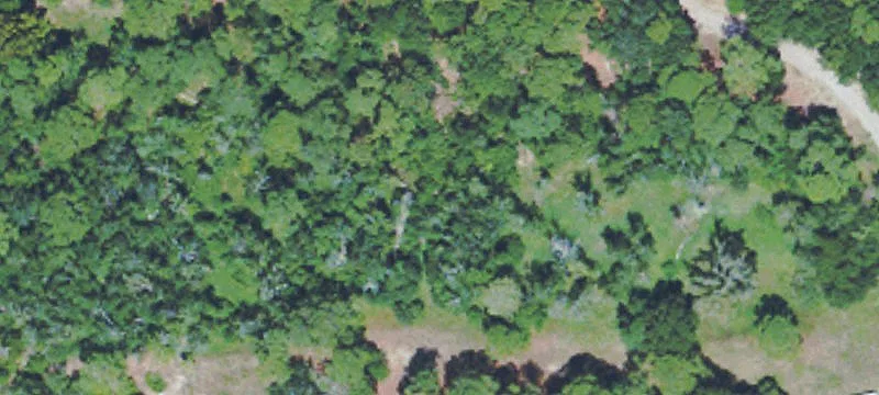 1939 Pass Rd