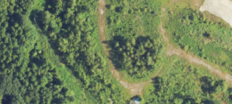 1563 Cemetery Rd