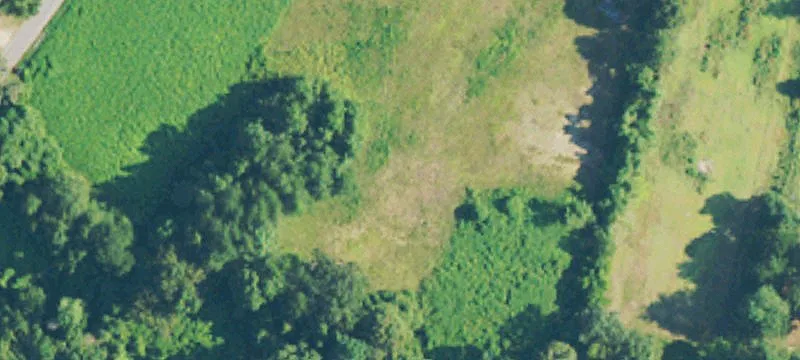 1204 Carterville Rd
