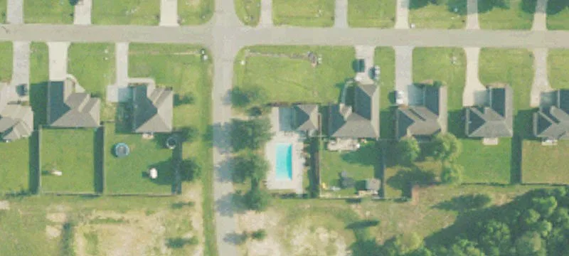 2 Spanish Oaks