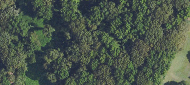 Red Banks, MS 38661