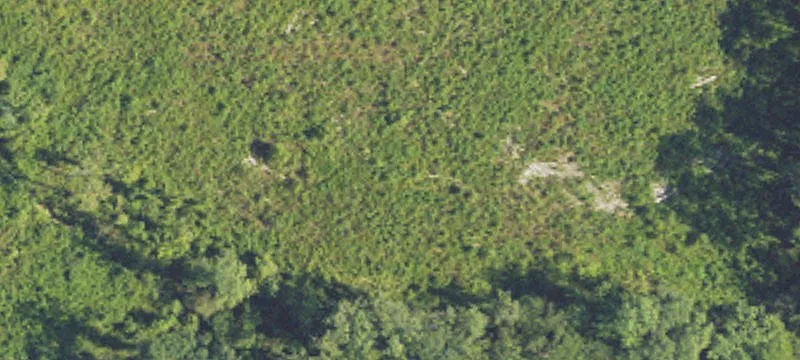 Camden, MS 39045