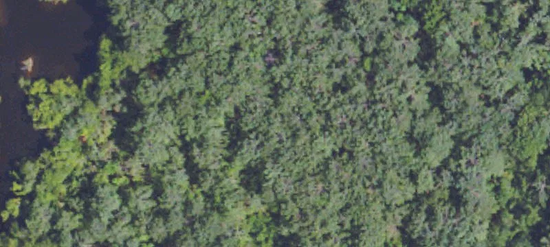 Holly Springs, MS 38635