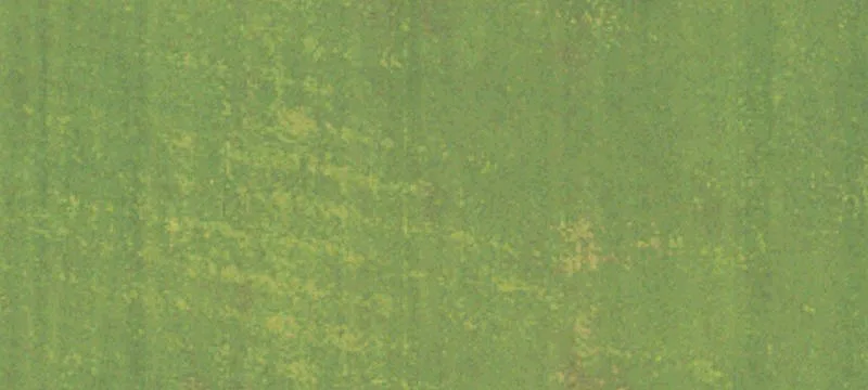 Robinsonville, MS 38664