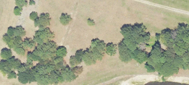 Richland, MS 39218