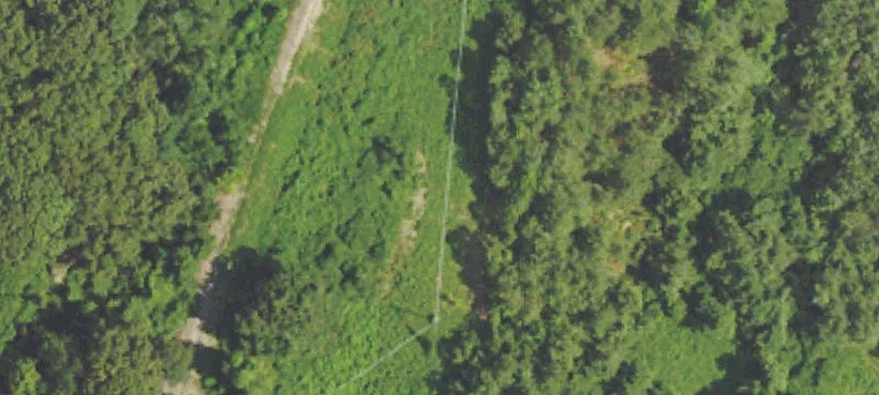 Holly Springs, MS 38635