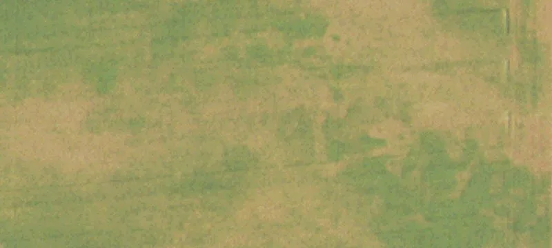 Canton, MS 39046