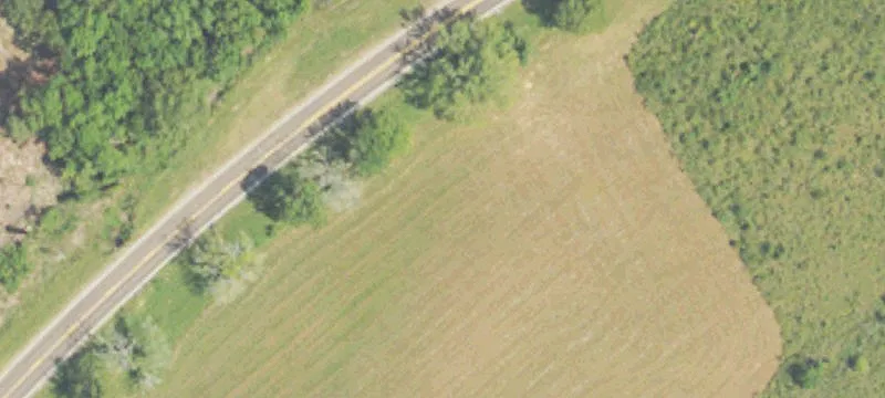 152 Watford Park Way Dr