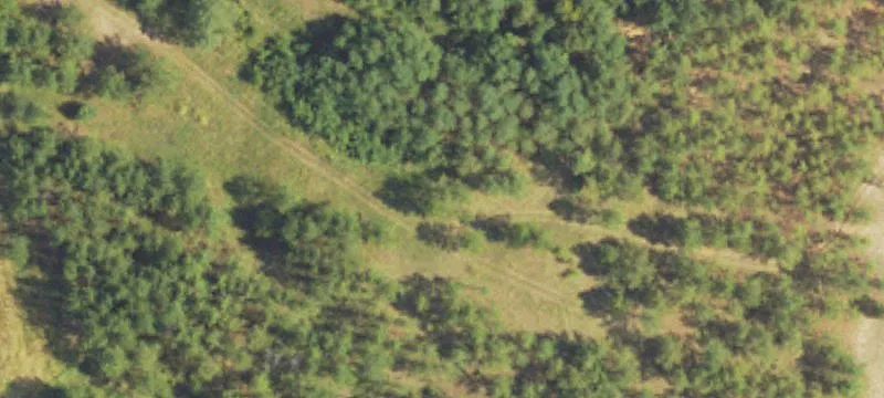 Canton, MS 39046