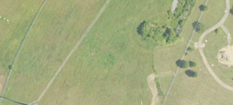 Canton, MS 39046