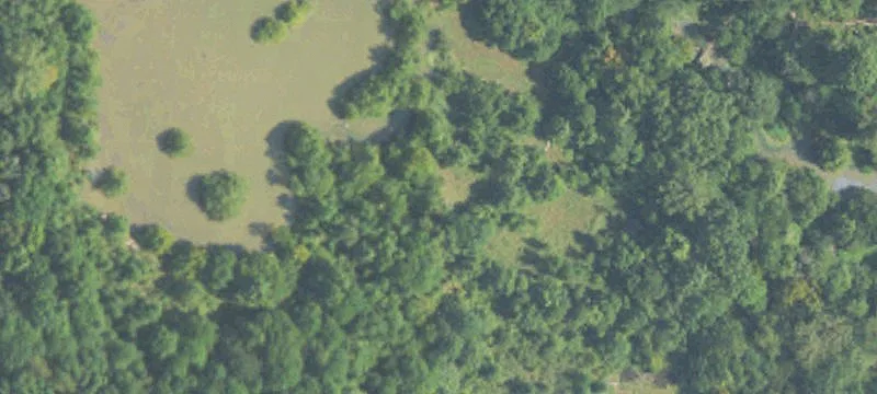 Canton, MS 39046