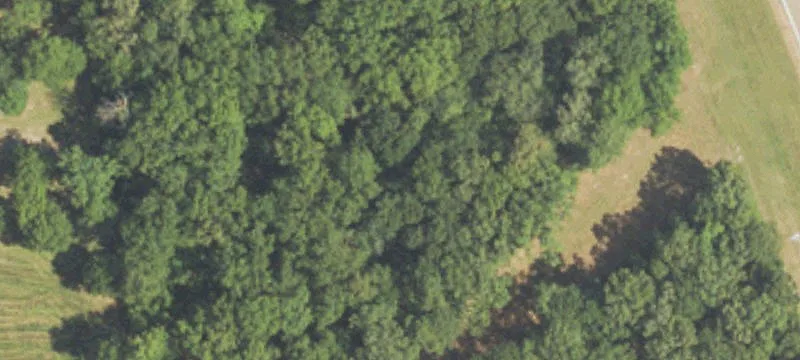 Flowood, MS 39232