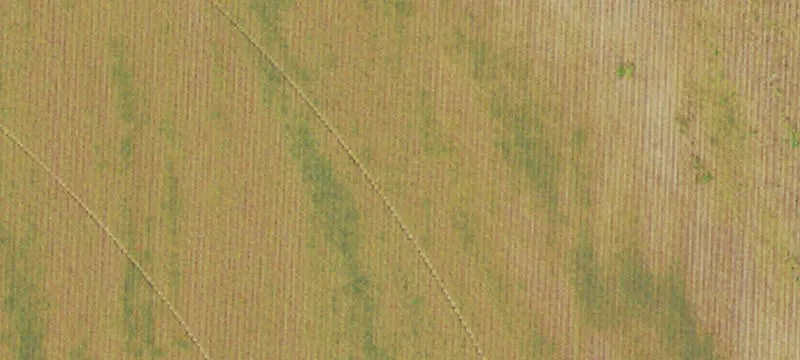 Dundee, MS 38626