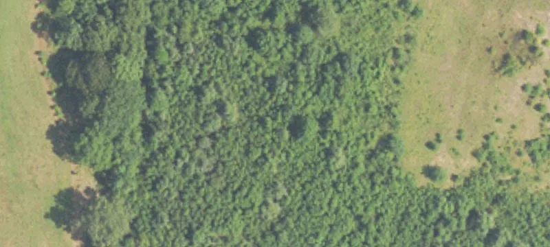 Canton, MS 39046