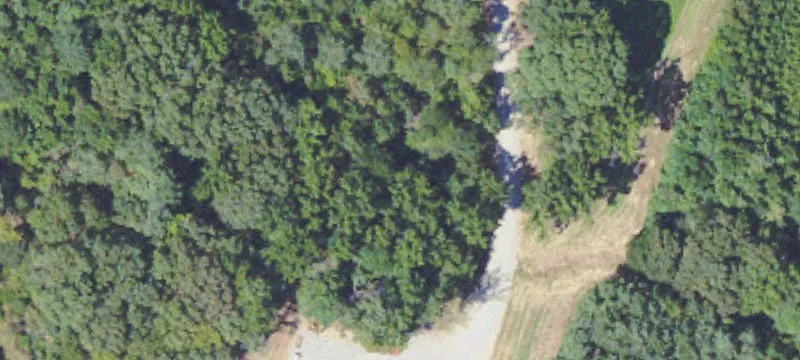 7975 Byhalia Rd