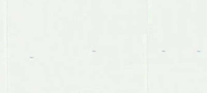 Byhalia, MS 38611