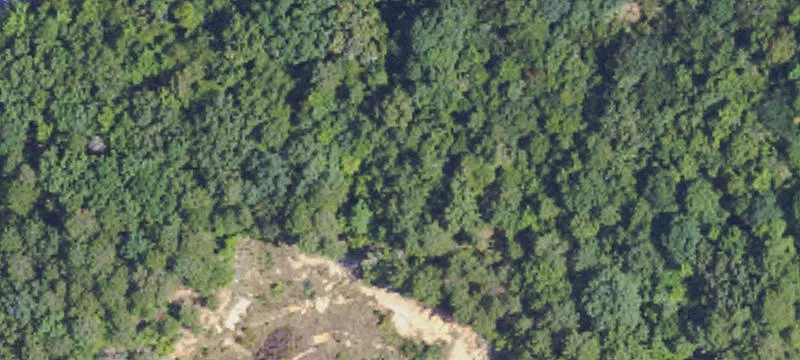 Potts Camp, MS 38659