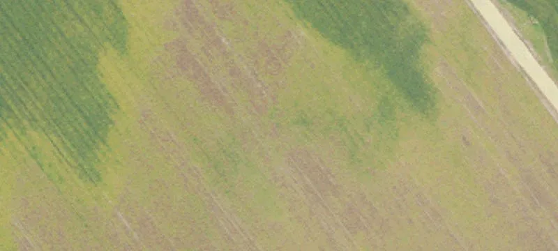 2880 6th Mile Lk Rd
