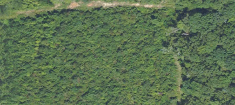 Plantersville, MS 38862