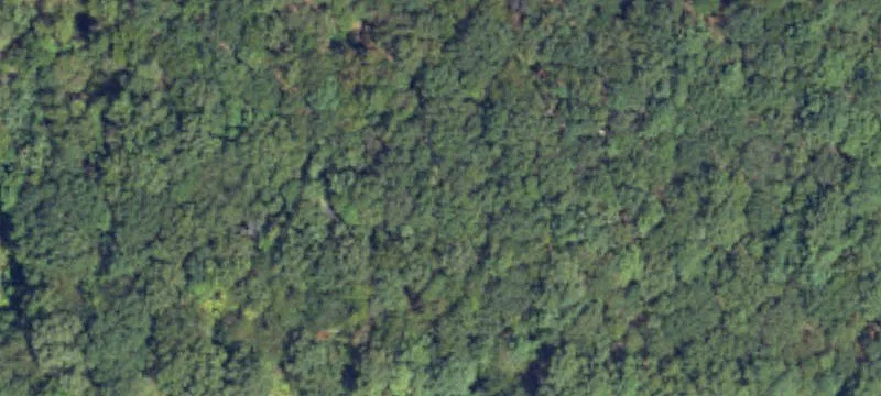 Flowood, MS 39232
