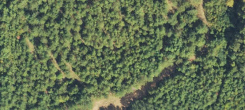 Preston, MS 39354