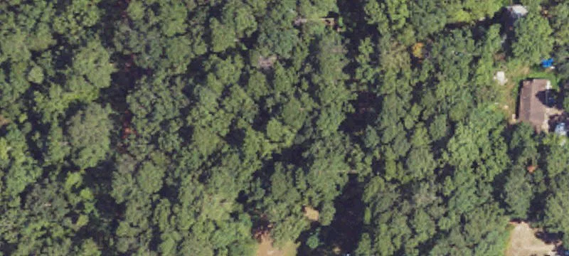 Brandon, MS 39042