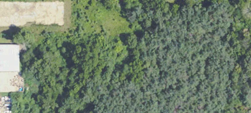 Holly Springs, MS 38635