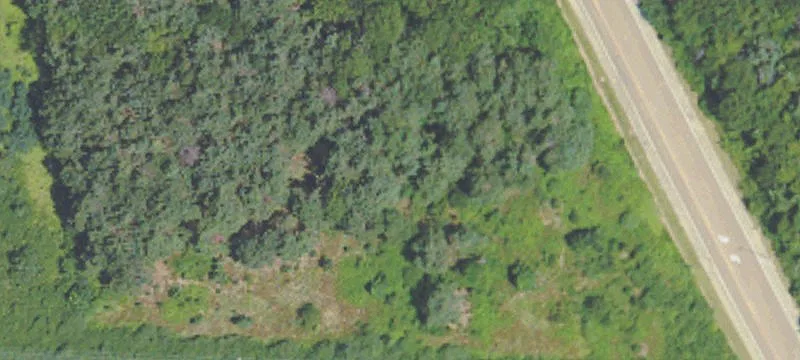 Holly Springs, MS 38635