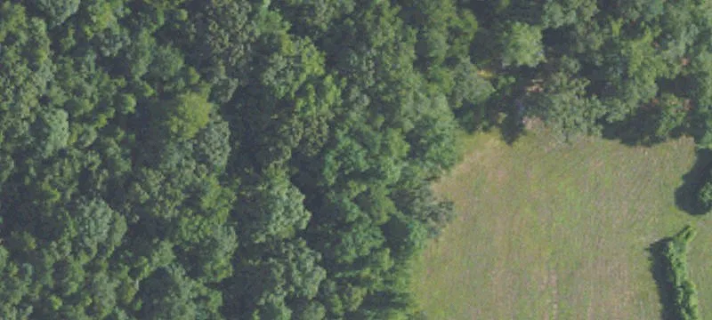 Oxford, MS 38655