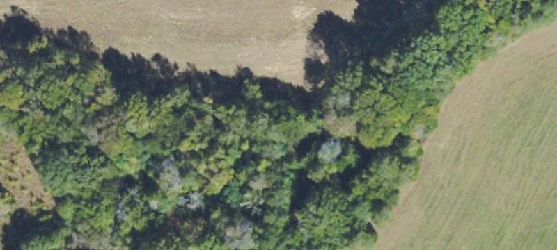 Saltillo, MS 38866