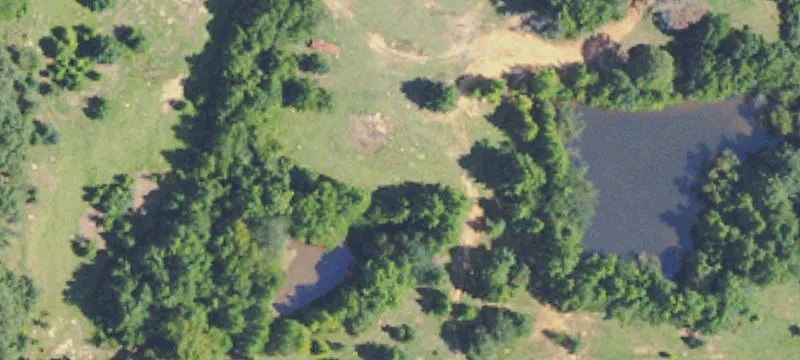 Potts Camp, MS 38659