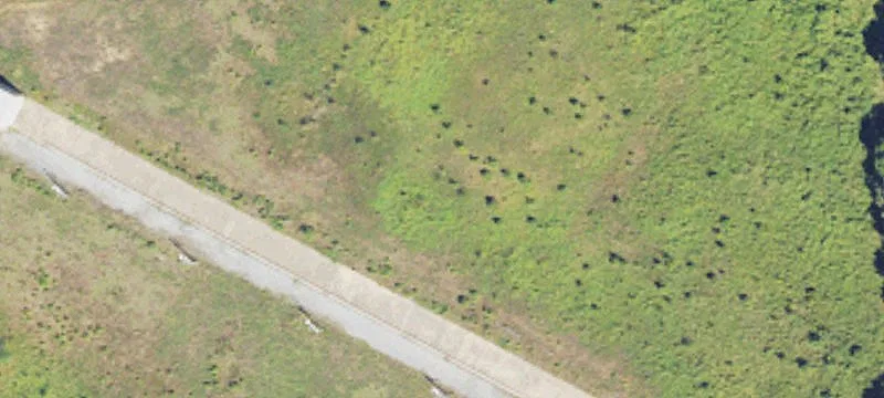 Porterville, MS 39352