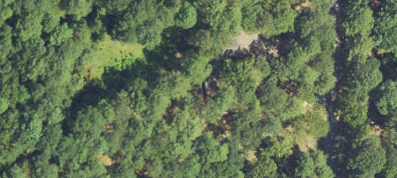 859 Petrified Frst Rd