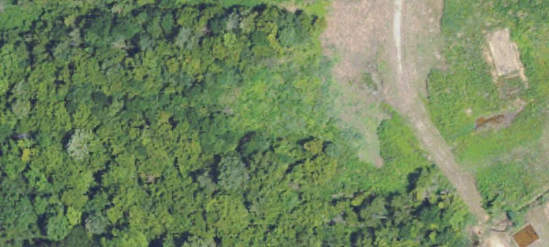 Potts Camp, MS 38659
