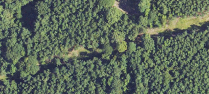 Brandon, MS 39042