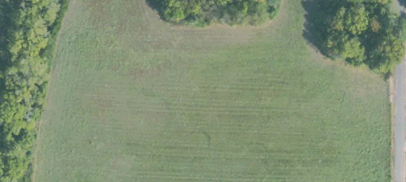 Harvey Gray Rd