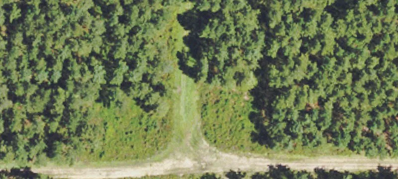 Poplarville, MS 39470