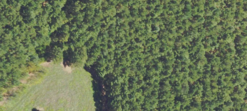 Poplarville, MS 39470