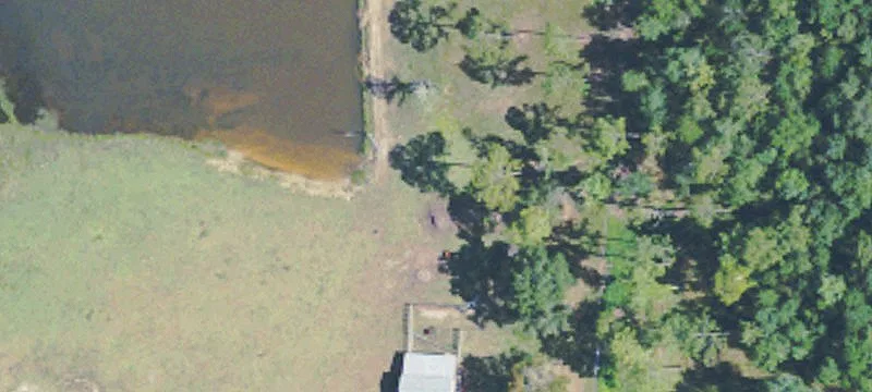 544 Mcneill Steephollow Rd