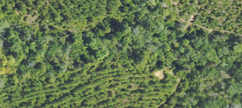 Poplarville, MS 39470