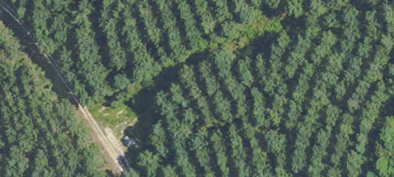 Lumberton, MS 39455