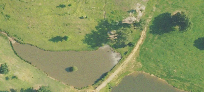 Rayburn Rd