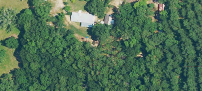 11 Arney Rd