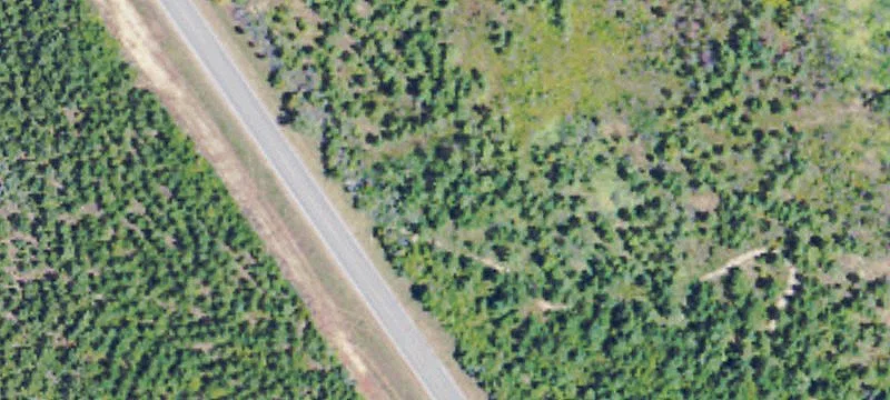 361 Connie Hariel Rd