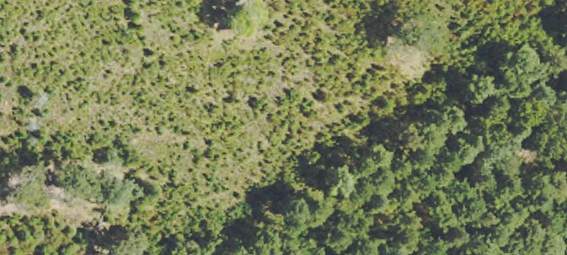 Poplarville, MS 39470