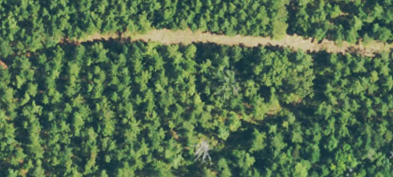 Us Hwy 11