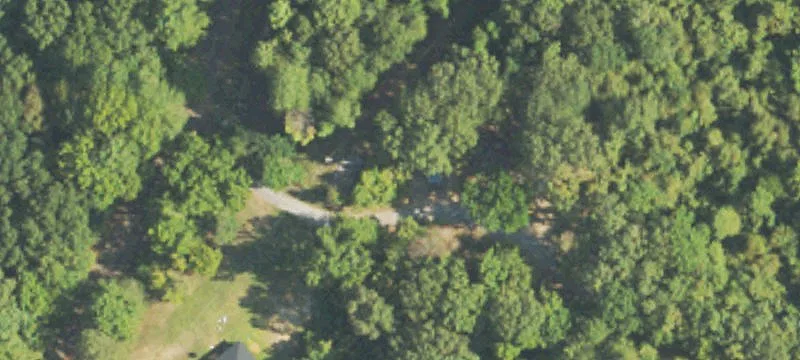 Charlie Brown Rd