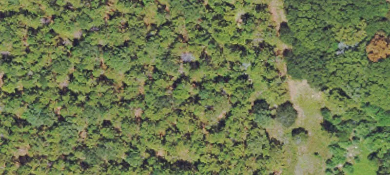 Poplarville, MS 39470