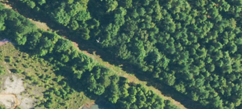 Us Hwy 11