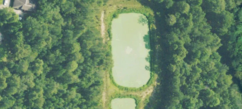 Stonecrest Stonecrest
